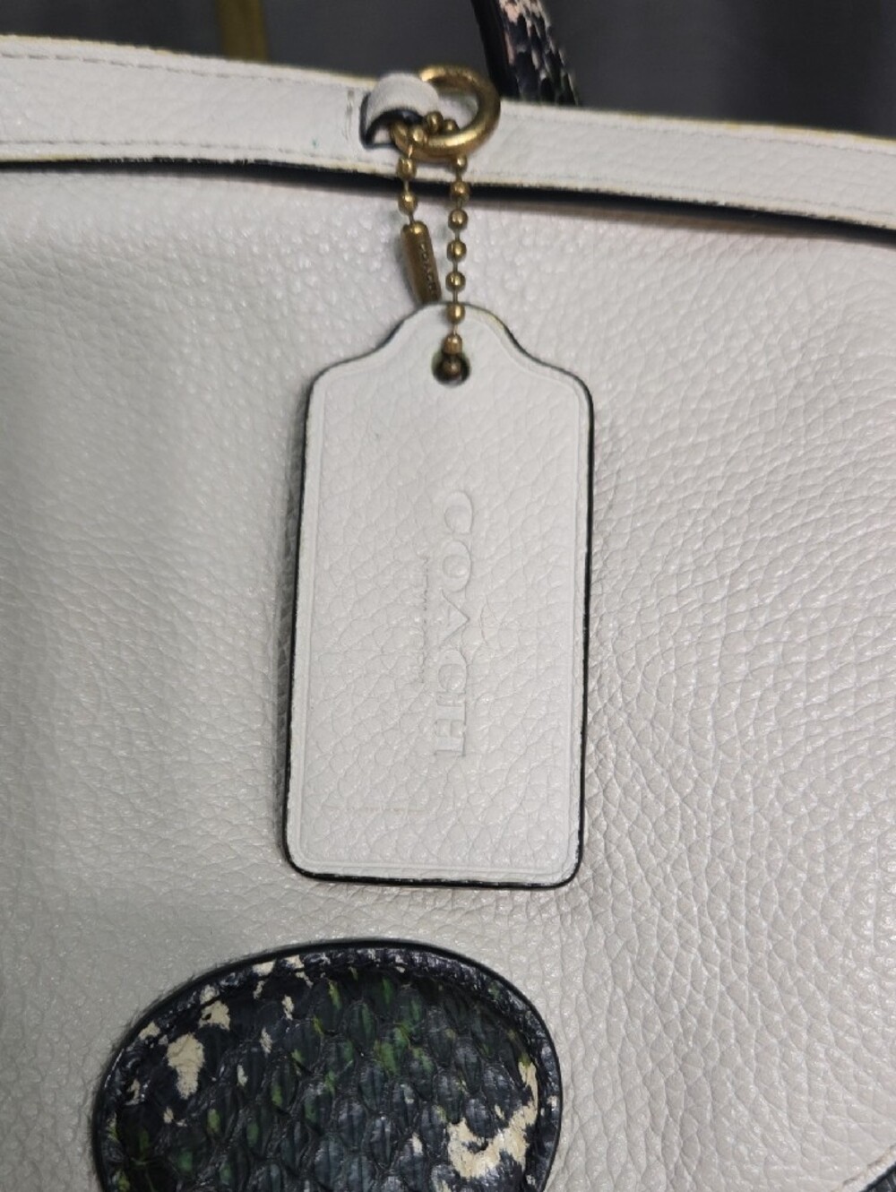 Coach Gray and Cream Leather Drawstring Backpack with Snakeskin Trim - Picture 4 of 14